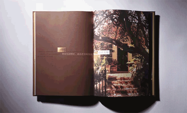 地產(chǎn)畫冊  第2張