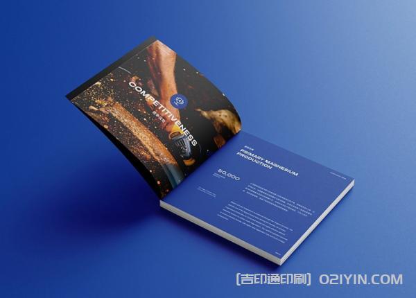 外企業(yè)畫冊(cè)設(shè)計(jì)印刷 第7張 外企業(yè)畫冊(cè)設(shè)計(jì)印刷 第7張