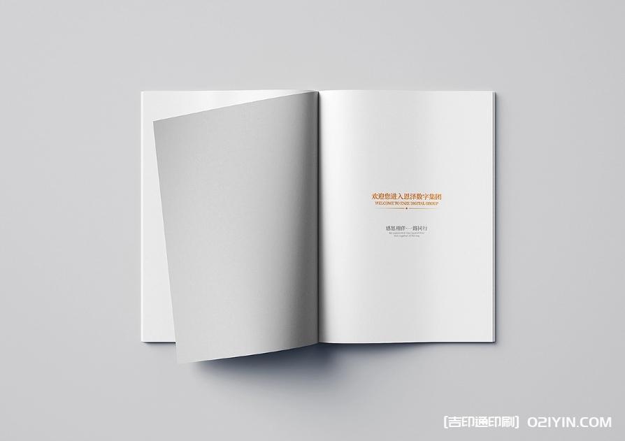 集團(tuán)企業(yè)宣傳樣本印刷報(bào)價(jià)  第3張