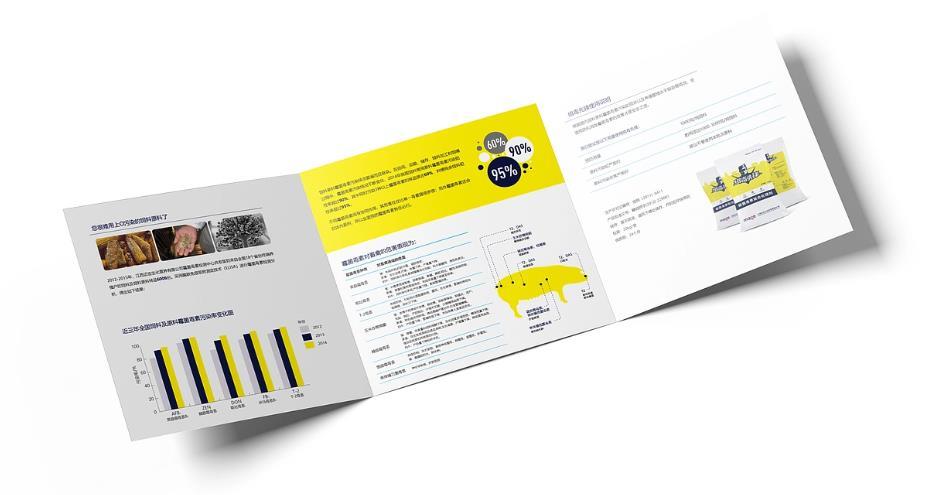 上海會(huì)展三折頁(yè)印刷 | 展會(huì)宣傳冊(cè) | 現(xiàn)場(chǎng)物料支持