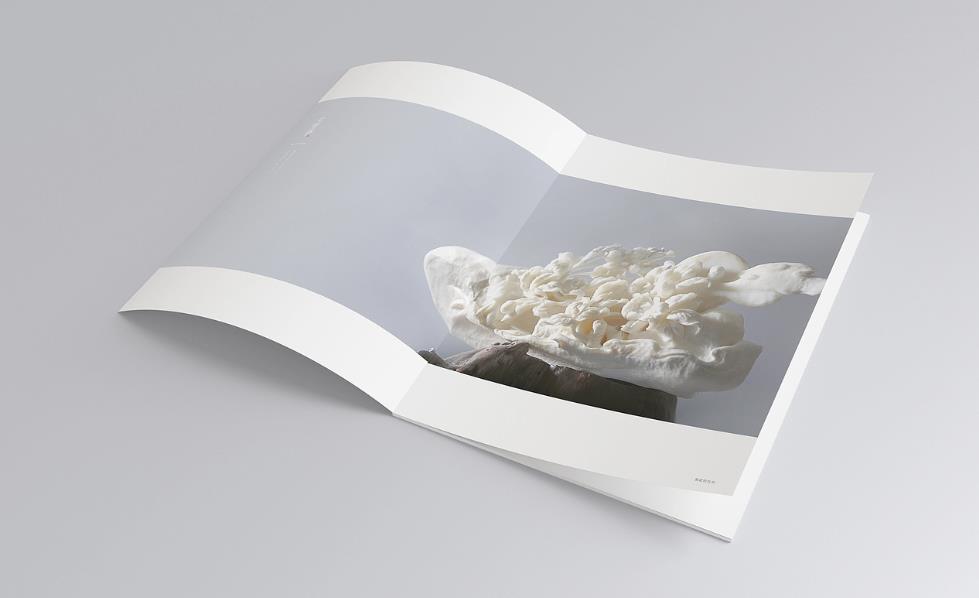 彩頁印刷常規(guī)尺寸有哪些？  第1張